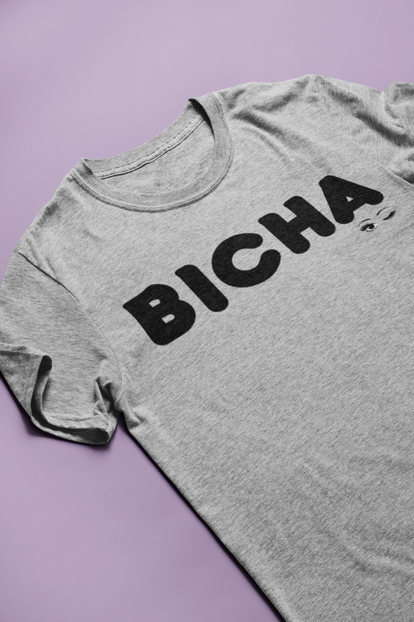 Bicha shirt.  For my boricuas