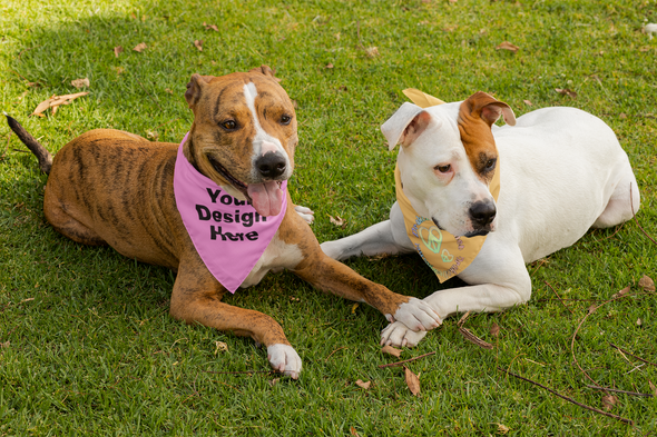 Dog Bandana