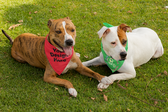 Dog Bandana